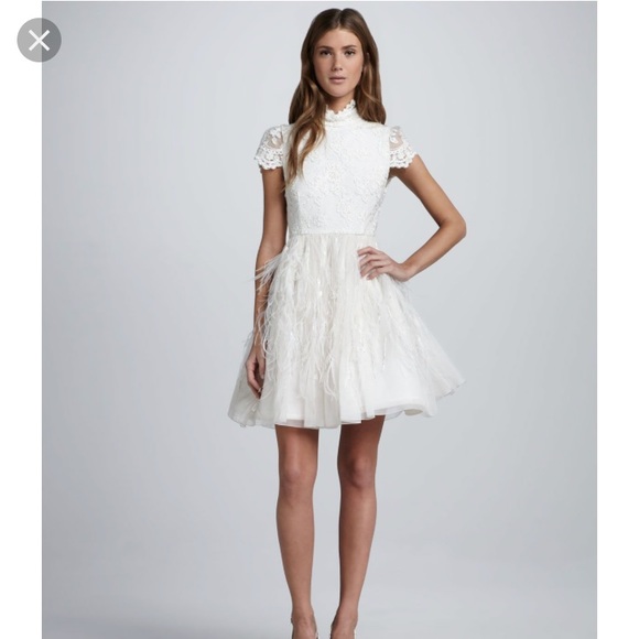 Alice + Olivia Dresses & Skirts - Alice & Olivia Gwen Feather Dress